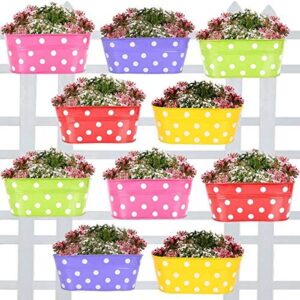 TrustBasket Dotted Oval Railing Planters