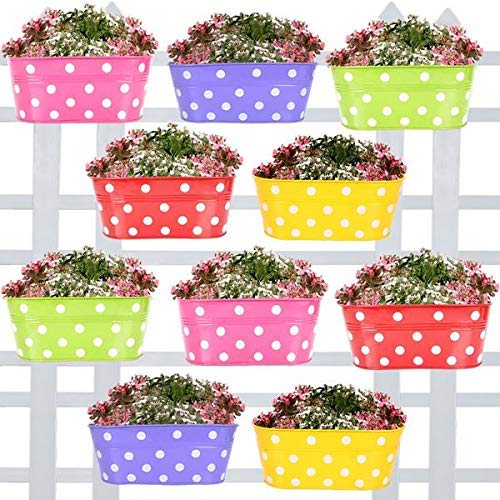 TrustBasket Dotted Oval Railing Planters