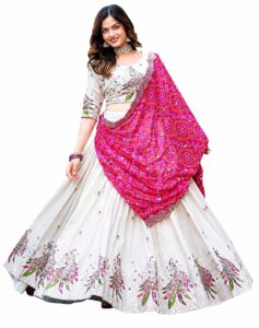 Women’s Vichitra Fabric Embroidered Semi
