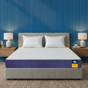 Centuary Mattresses Sleepables 8-Inch Queen Size Orthopedic Memory Foam Back