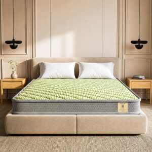 Shayan Dual Comfort Mattress