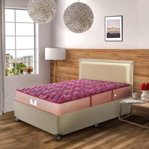 peps Springkoil Cozy 6 Inch Orthopedic Bonnell Spring Mattress
